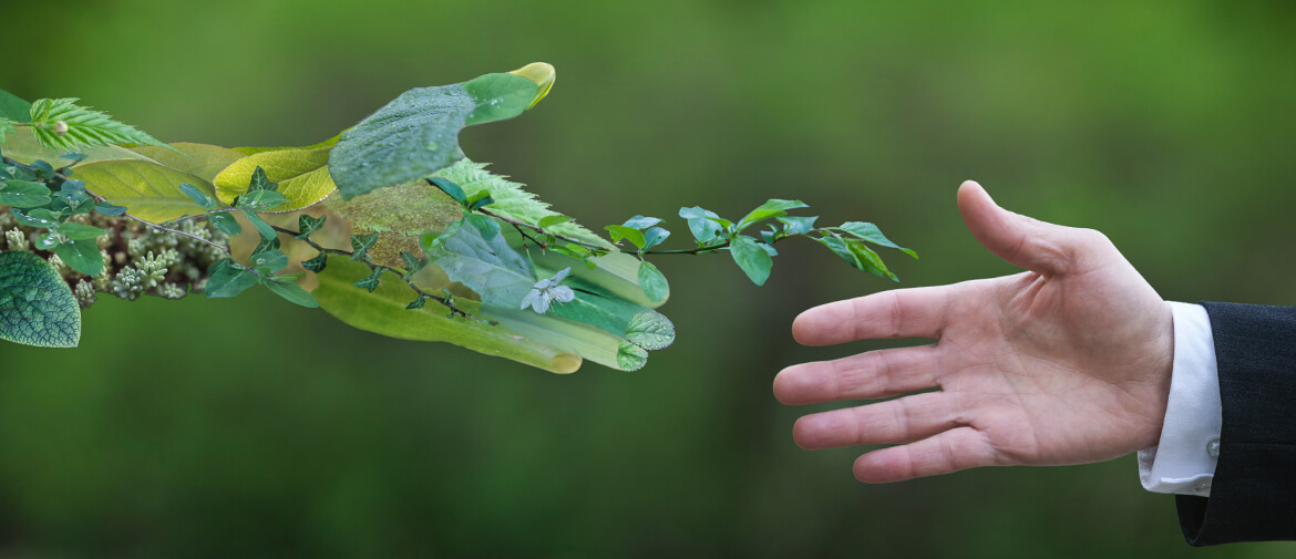 FY24-ES11Circular economy  the principle pointing us to a greener future (1)