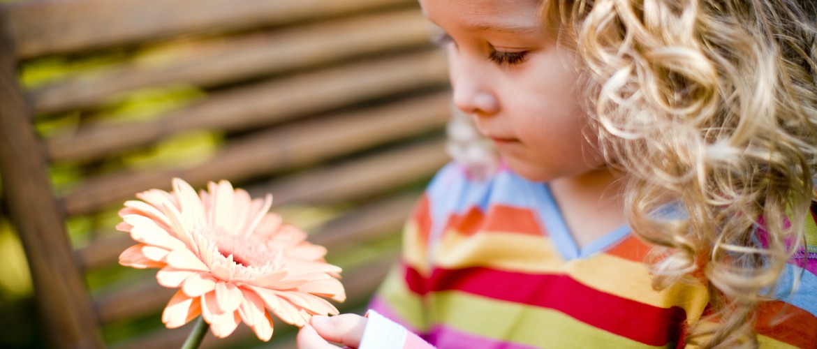 Niña rubia de pelo rizado quitando pétalos a una flor