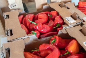 Soluciones de etiquetado Brother para el Sector hortofrutícola