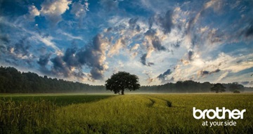 Prado verde con árbol y cielo con nubes de fondo